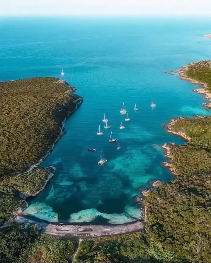 Salina 48 Evolution - 