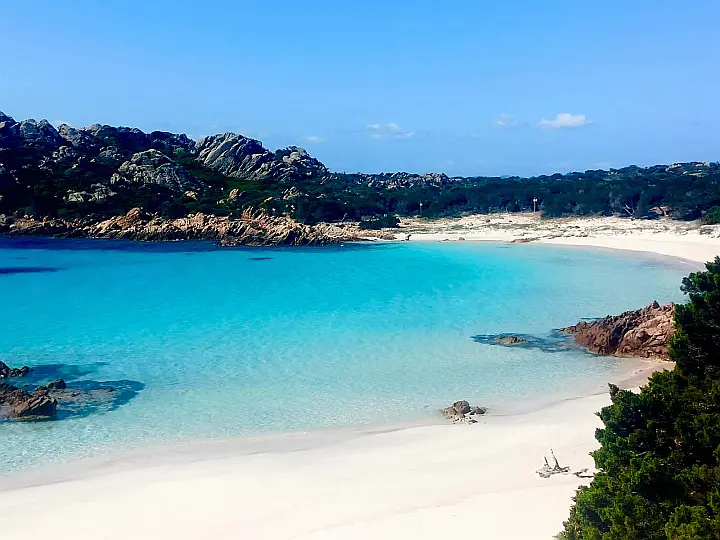 Salina 48 Evolution - 