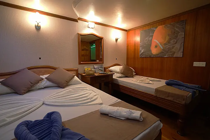 Conte Max - Cabin (twin bed) - 
