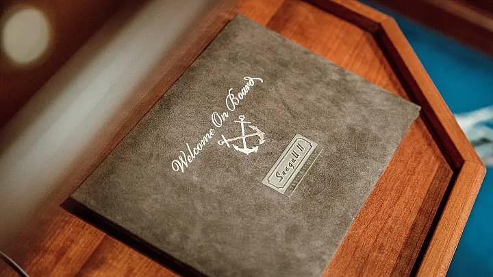 Motoryacht Seagull 2 - 