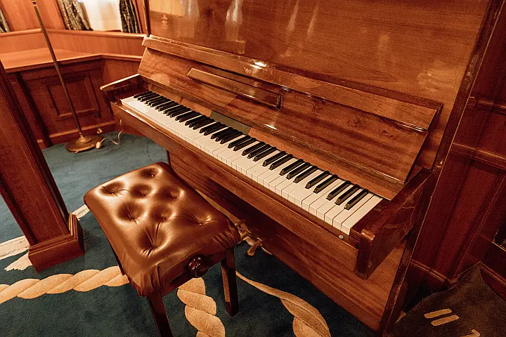 Motoryacht Seagull 2 - 