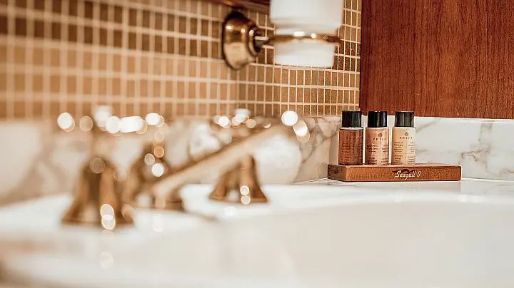 Motoryacht Seagull 2 - 