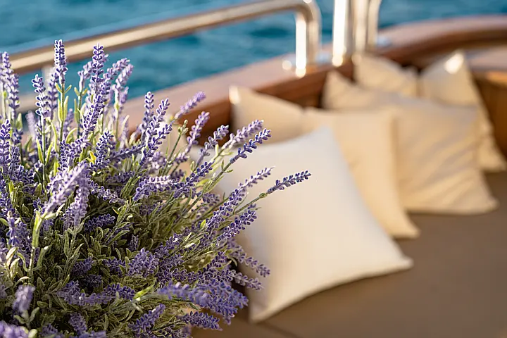 Motoryacht Riva - 