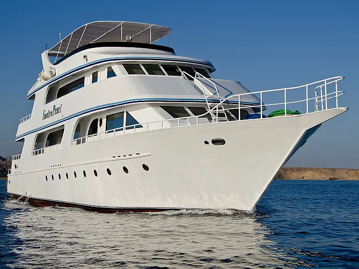 Custom Built  444 - Snefro Pearl  - External image
