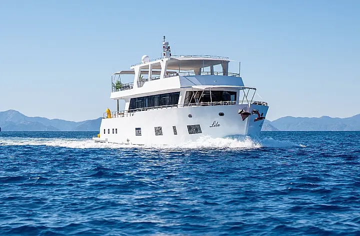 Motoryacht Lila Trawler - 