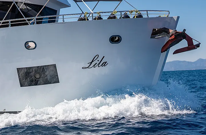 Motoryacht Lila Trawler - 