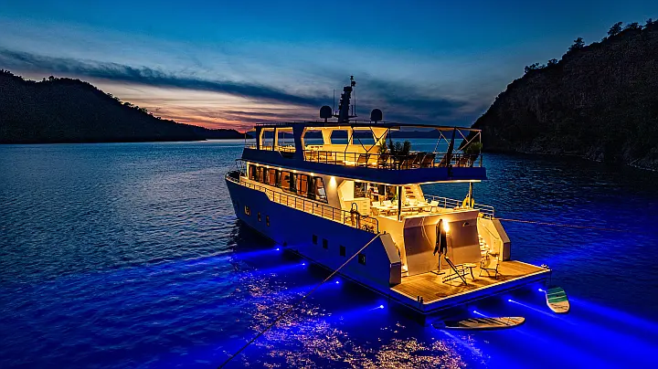 Motoryacht Lila Trawler - 